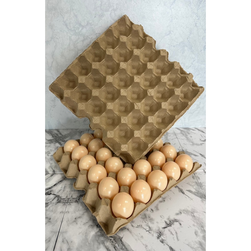 現貨 免運 全新 30粒紙蛋盤 雞蛋宅配專用 雞蛋盒雞蛋包材 杜比亞蟋蟀底材爬蟲養殖 工廠直營絕對優惠 大量可議