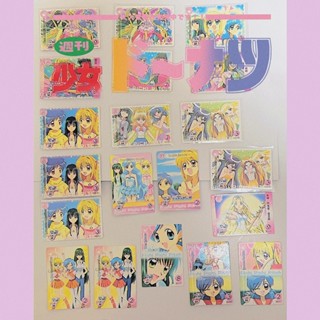 懷舊童年🫧 真珠美人魚💖｜美人魚大集合·七大海洋·絕版卡片｜珍珠美人魚｜小卡收藏