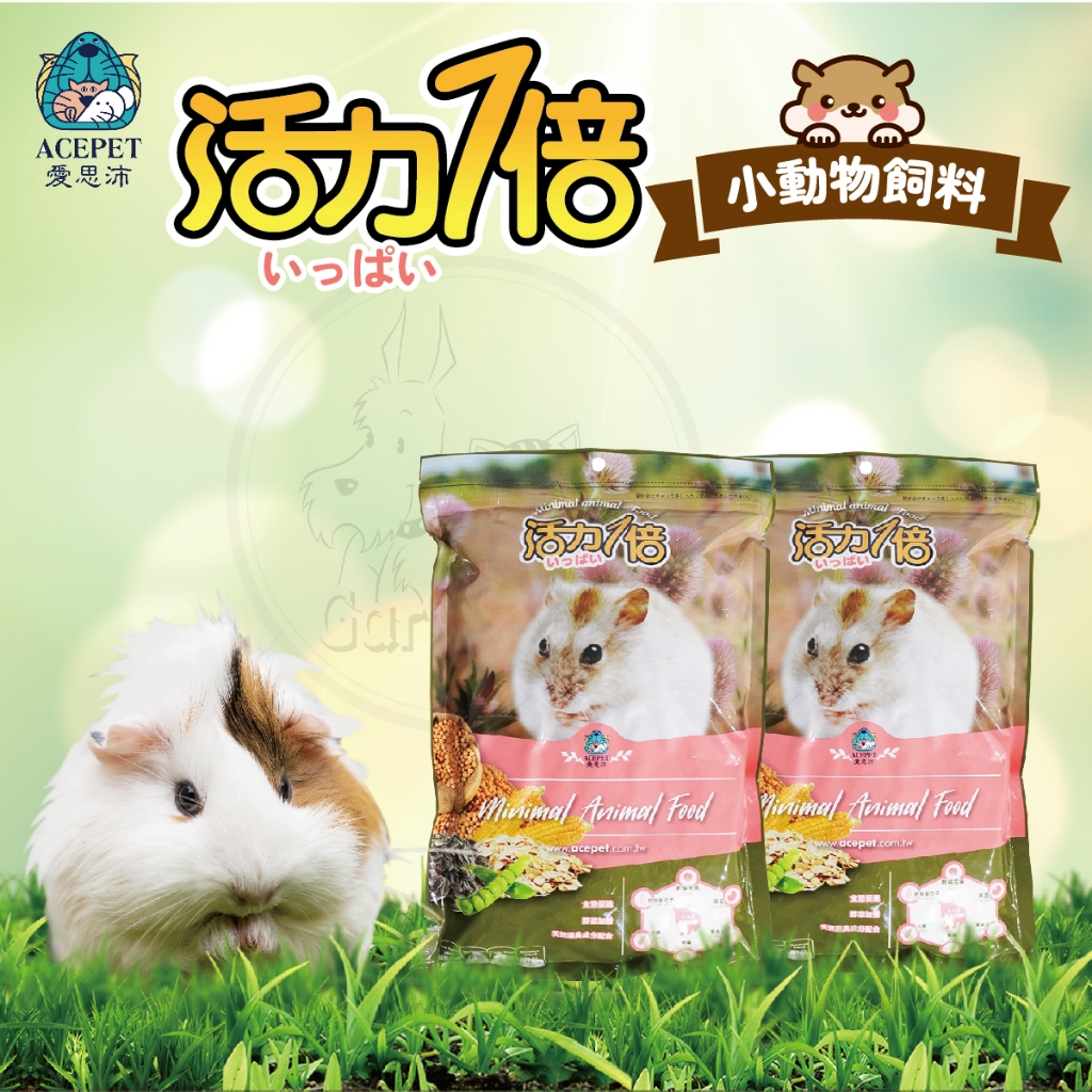 【現貨】活力一倍(鼠飼料1kg) 台灣製造 小動物飼料 倉鼠 天竺鼠 黃金鼠 楓葉鼠 老公公鼠 三葉鼠 寵物鼠 老鼠