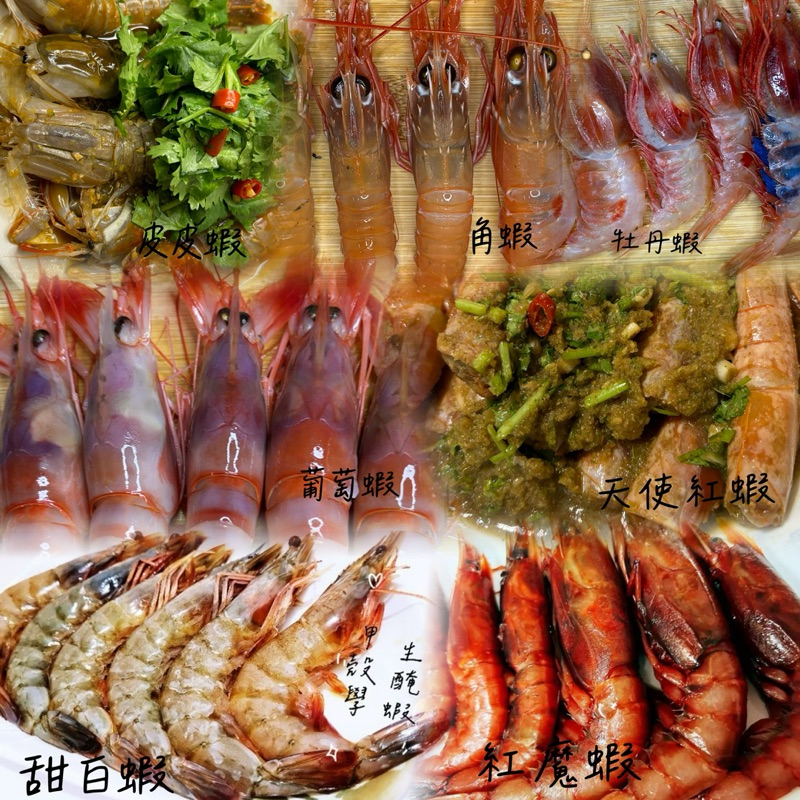 選擇障礙蝦類大拼盤/生醃鮮蝦/紅魔蝦/天使紅蝦/角蝦/葡萄蝦/牡丹蝦