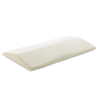 丹麥製 TEMPUR 丹普 BED BACK SUPPORT 購自新光三越 睡眠 護腰 靠墊 靠枕 支撐 腰枕 腰墊
