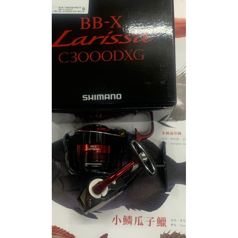 SHIMANO(2024最新版）Larissa-BB-X-c3000DXG(店取更優惠）歡迎聊聊