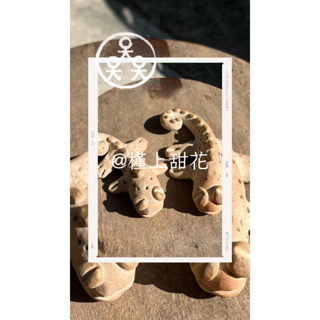 槿上甜花/盆栽/多肉植物/盆花/觀葉植物/寵物/陶瓷/塊根植物/植栽/茶寵/園藝/造園景觀/居家裝飾/陶瓷/壁虎/守宮