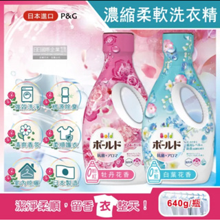 日本 P&G ARIEL 超濃縮洗衣精 除臭抗菌洗衣精