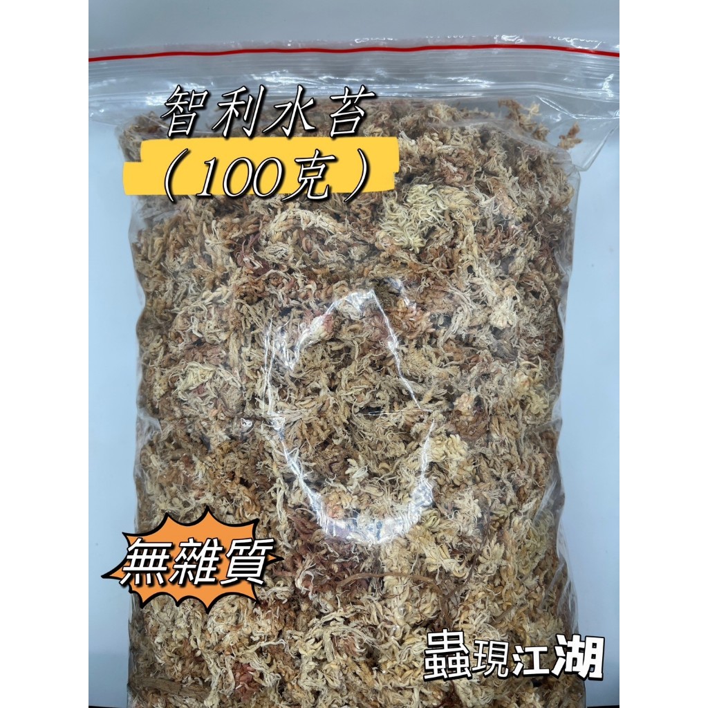 《蟲現江湖》甲蟲專用水苔/成蟲專用水苔/甲蟲/鍬形蟲/兜蟲