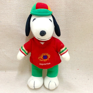 (現貨)SNOOPY 史奴比狗狗 填充玩具 絨毛娃娃 狗玩偶 史努比布偶 居家擺飾 療癒小物 小抱枕 公仔 玩具 擺設