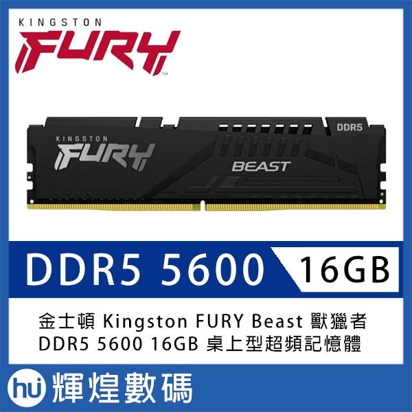 金士頓 Kingston FURY Beast 獸獵者 DDR5 5600 16GB 桌上型超頻記憶體