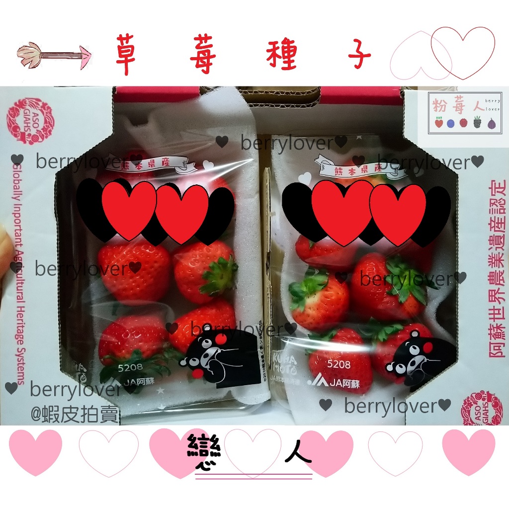 ❤️粉莓人🖤日本草莓  草莓種子 戀人