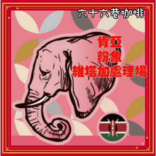 【六十六巷咖啡】肯亞｜穆蘭卡｜粉象｜維塔加處理廠｜淺烘焙｜中烘焙｜水洗｜半磅｜耳掛包｜新鮮烘焙咖啡豆｜咖啡豆｜免運費