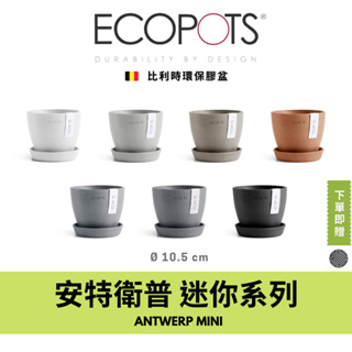 ECOPOTS比利時環保盆Antwerp mini 11cm 現貨 植栽 花盆 盆器｜Potti Pianta
