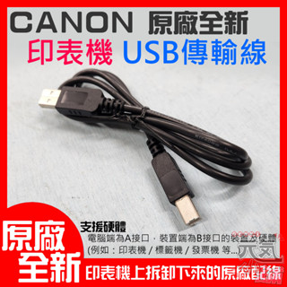 【台灣現貨】CANON 原廠全新印表機 USB傳輸線（長度：1米）＃B02029A 原廠印表機配線 USB AB傳輸線