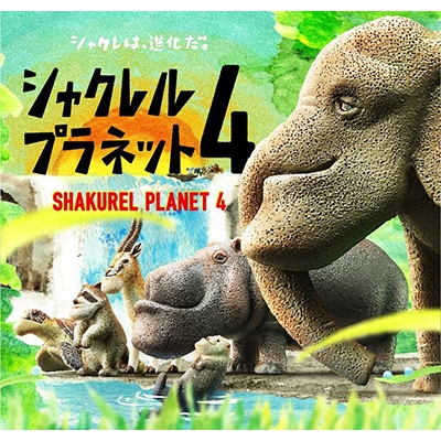 【豬寶樂園】現貨 絕版 日版 熊貓之穴 厚道動物4 P4 厚道星球 戽斗動物 河馬 嶝羚 浣熊 海龜 海獺 扭蛋 轉蛋