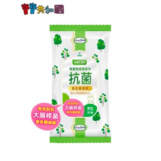 Baan 貝恩 潔膚抗菌柔濕巾厚型30抽 EDI純水 無酒精 無香料 清潔臉手口適用 原廠公司貨 寶寶共和國