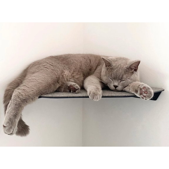 出清 簡約猫墙 貓咪釘牆上貓跳台  貓睡床 三角跳台