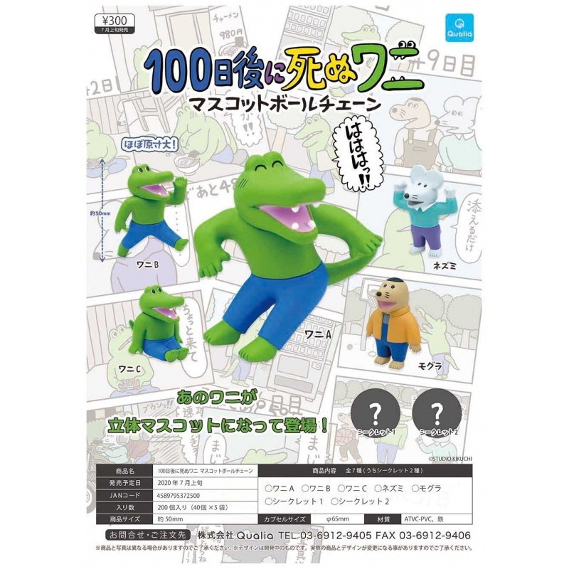 日本正版授權 Qualia 100天後就會死的鱷魚 激安價 扭蛋 轉蛋 公仔 吊飾 日式小物