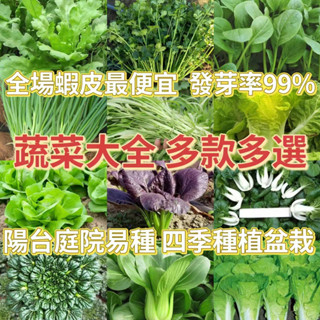 🔥蔬菜種子大全🍓 超多款菜種子 超低價 四季小白菜 多款蔬菜種子上海青  超高發芽率95%