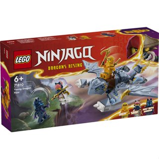 【臺中翔智積木】 LEGO 樂高 NINJAGO 忍者系列 71810 幼龍阿隆