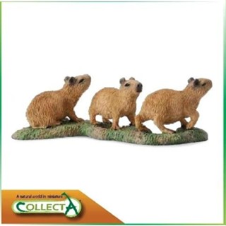 動物模型 CollectA 水豚寶寶