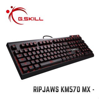 (二手) 芝奇 G.SKILL RIPJAWS KM570 Cherry MX 茶軸 機械式鍵盤