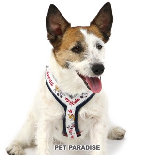 【PET PARADISE】米奇布魯托Y字透氣寵物外出胸背 (3S/SS/S)｜DISNEY 2024新款 寵物精品