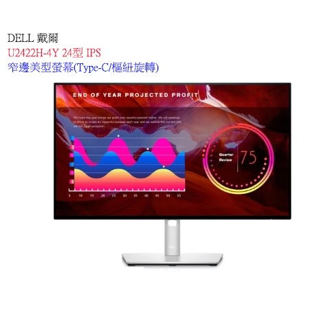 【戴爾】DELL U2422H-4Y 24型 IPS 窄邊美型螢幕(Type-C/樞紐旋轉)【附發票】