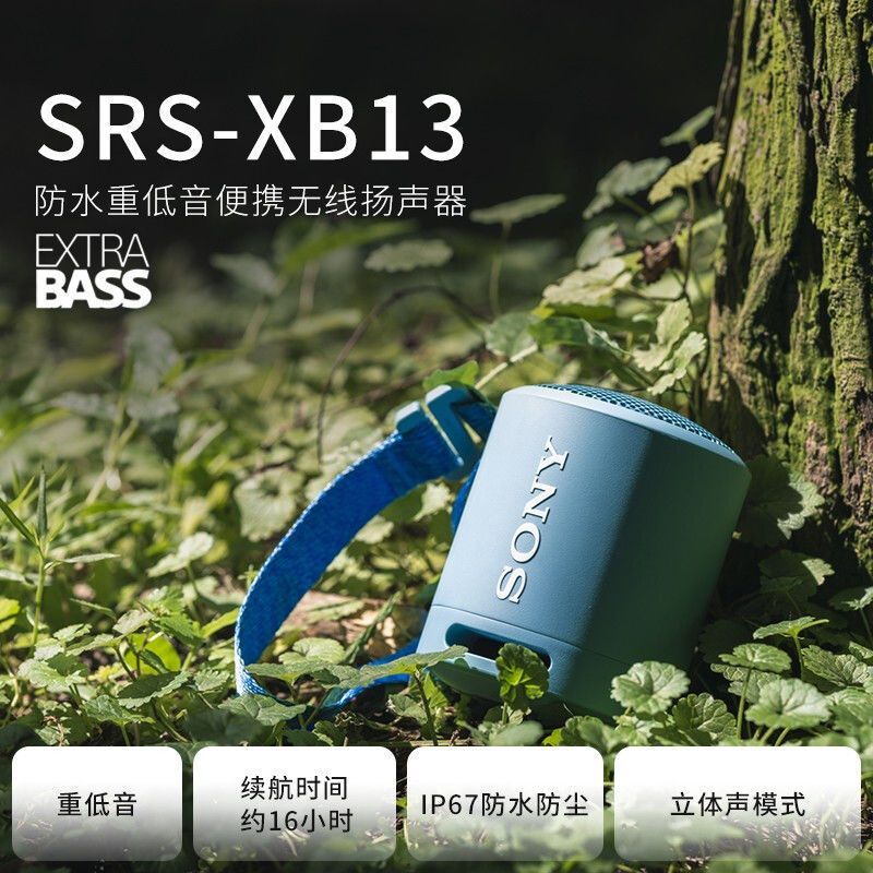 特價下殺 全新SONY&amp;索尼 SRS-XB13 藍芽喇叭 藍芽音響 可攜式 防水 防塵 可攜式無線揚聲器 重低音 大音量