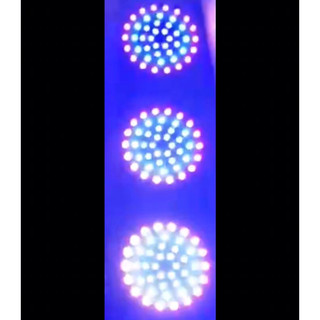 檳榔攤紅綠燈-煙火款 led 高亮度 13mm大燈珠 80*20公分
