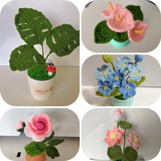 芒果蕎手作 臺灣現貨 DIY小盆栽編織 向日葵 蒲公英 龜背芋 玫瑰花 馬蹄花 鈴蘭花 蝴蝶蘭 勿忘我 治癒小物