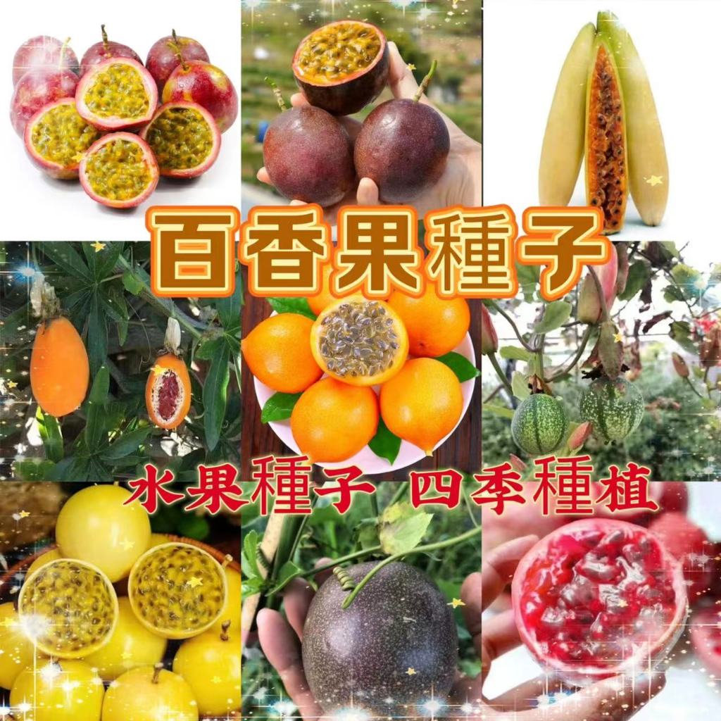 【買二送一】百香果種子 四季水果 台灣滿天星 黃金百香果種子 四季種植 高產 發芽率高 水果種子