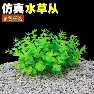 水族造景 模擬水草 水草魚缸飾品 魚缸造景 擬真水草 假水草 水族箱水草 水族用品 造景植物