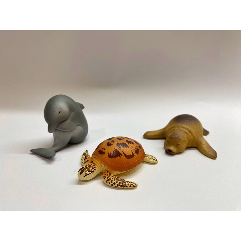 🔸[二手扭蛋] 休眠海洋動物園 海象 海龜 海豚