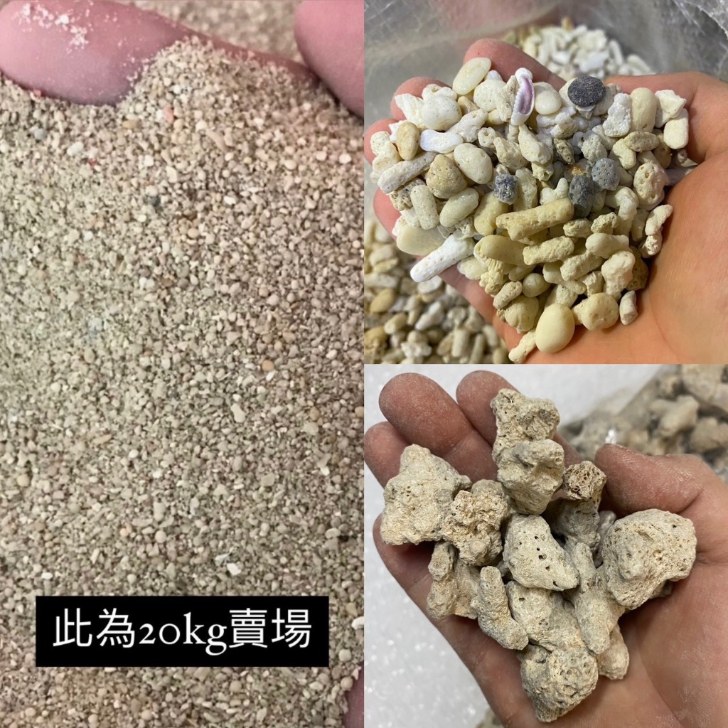 珊瑚砂20kg【2號 20號 30號 】珊瑚骨 珊瑚石 貝殼砂 菲律賓砂 底沙 貝殼沙 菲律賓沙 珊瑚沙