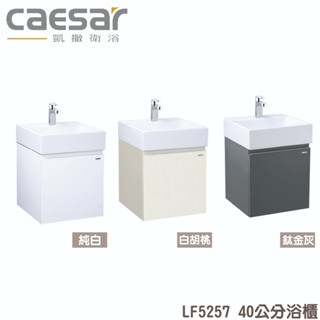 『洗樂適臺南義林店』凱撒衛浴CAESAR 40公分一體瓷盆浴櫃組 面盆 浴櫃 面盆浴櫃組 LF5257 龍頭