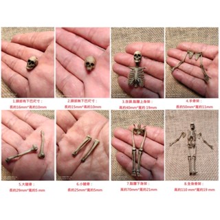 迷你 骷髏 裝飾品 盆 骷髏頭 鋪面石 介質 盆栽鋪面 園藝裝飾 骨頭 diy 骷顱頭 迷你骷髏 擺件 骷髏頭模型