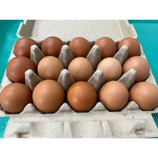 優質農卵新鮮生鮮雞蛋 蛋 農場直送 白殼雞蛋 紅殼雞蛋 健康營養天然