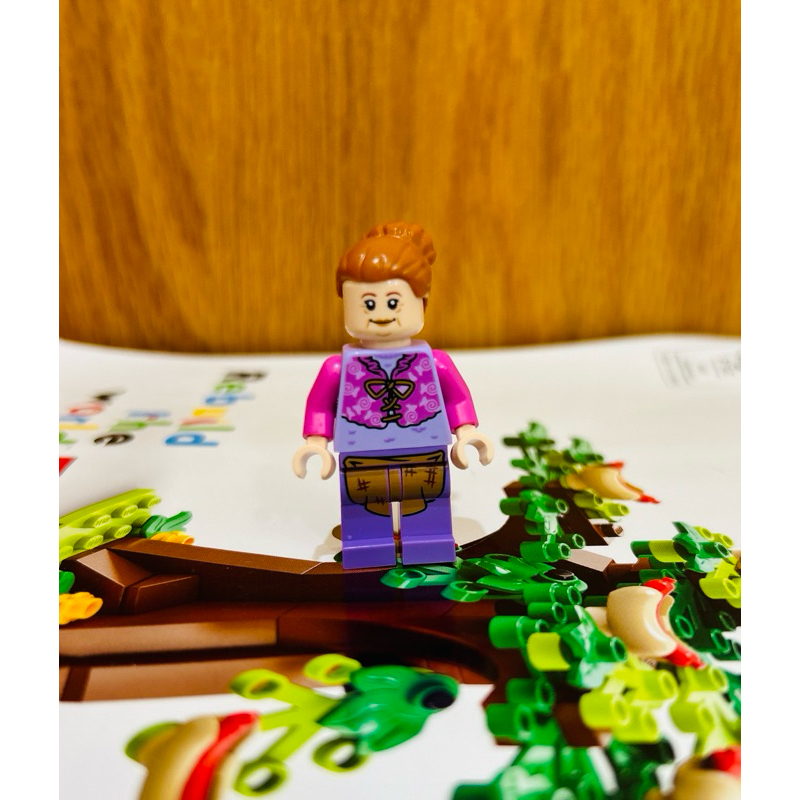 樂高Lego 76388哈利波特系列人偶