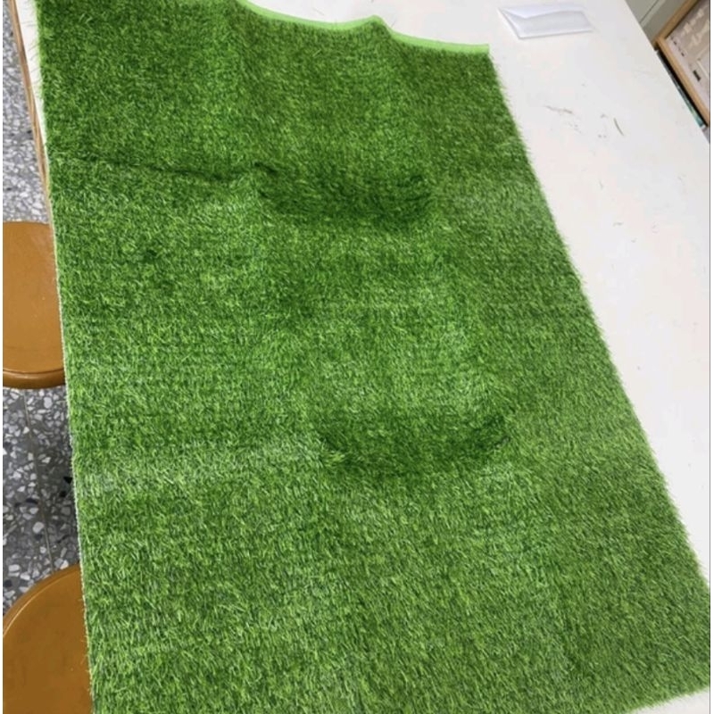 草皮地墊 草皮地毯 人工草皮 仿草皮地毯 綠塑膠地毯