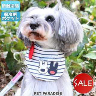 【PET PARADISE】麗莎卡斯柏涼感造型領巾/附保冷劑 (3S/S)｜Gaspard et Lisa 2022新款