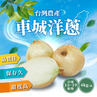 【家購網嚴選】屏東車城洋蔥-中球 4Kg/盒(15-19顆/盒)