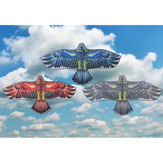 老鷹風箏 驅鳥神器 趕鳥神器 戶外 風箏 小鳥 1.2米老鷹 造型風箏