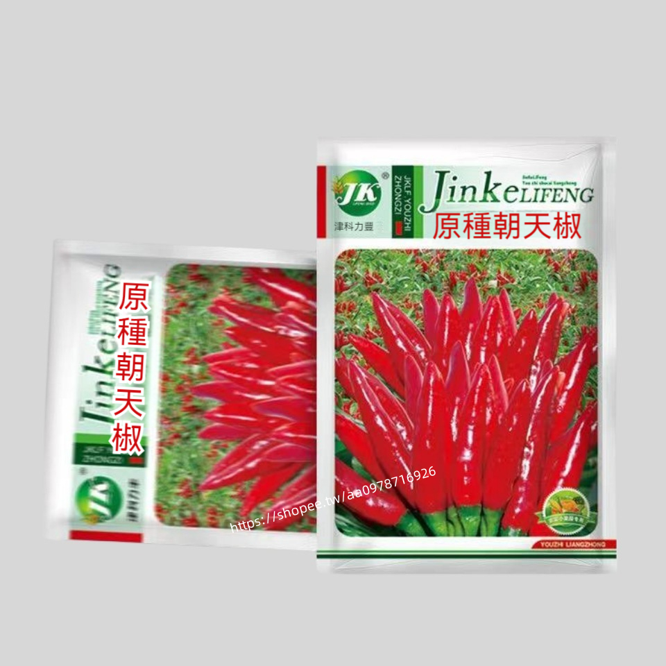 🔥原種朝天椒🔥A51 辣椒種子 原種朝天椒種子 一袋5g約500粒 蔬菜種子 原廠包裝 對版出貨 發芽率高95%