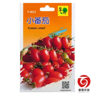 V023小番茄/蔬菜種子/雷霆百貨