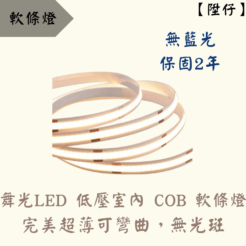 【陞仔】舞光LED 低壓室內COB軟條燈 50W 室內軟條燈 可彎曲 不斷光 軟條燈 燈帶 燈條 驅動器另購