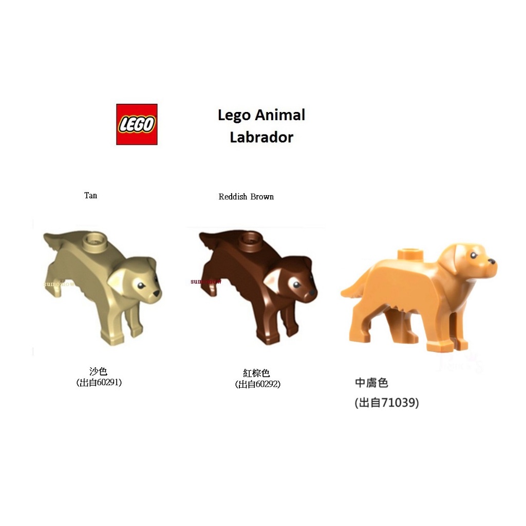 {全新} LEGO 樂高 狗 拉布拉多 黃金獵犬  Labrador 60291 60292 導盲犬 拉不拉多