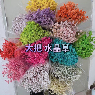 現貨🔺大把 水晶草 永生花都乾燥花 水晶花 不凋花 花束 花材 玻璃罩 浮游花 DIY材料 整包 批發價