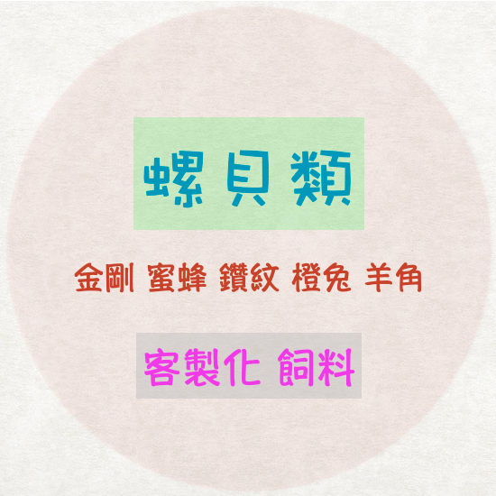 【嘉嘉寵物】觀賞螺（金剛螺 蜜蜂角螺 馬來螺 斑馬螺 羊角螺 笠螺 彩蛋螺）