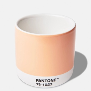 PANTONE 彩通 2024柔和桃限定色(馬克杯/保溫杯/咖啡杯/鑰匙扣環/靈感手扎)