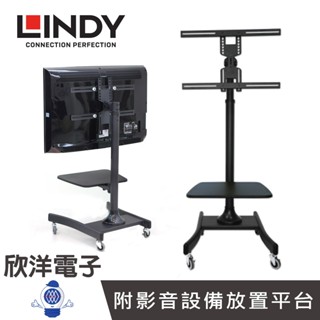 LINDY林帝 可移動式 液晶電視固定架 (40762) 適用學校 店面行銷 展覽 會議