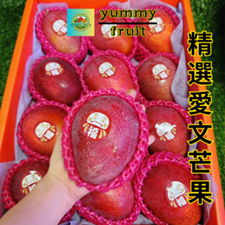 愛文芒果屏東枋寮枋山臺南產地樹上熟的肉細甜又香每一盒12顆- YUMMY FRUIT