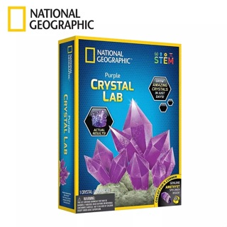 National Geographic國家地理 晶透奇蹟/ 紫水晶栽種實驗室/ 附紫水晶1入 兒童玩具